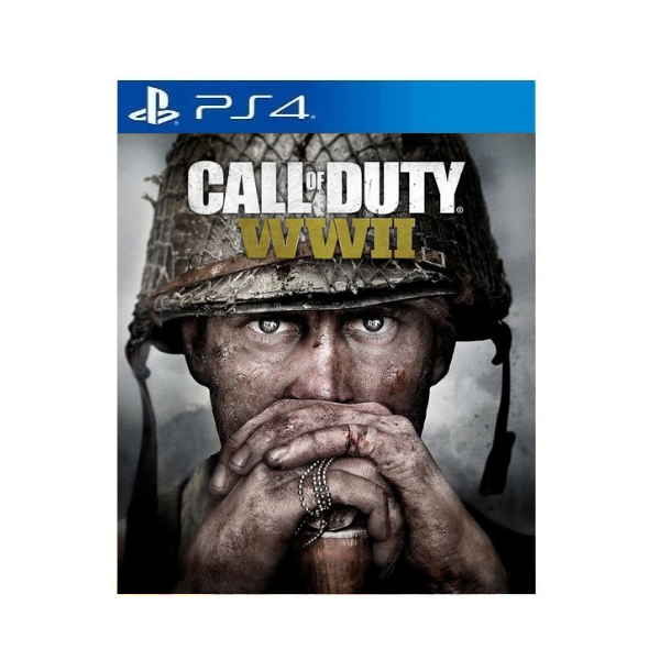 Call of Duty WWII Ps4/Ps5 Mídia Digital